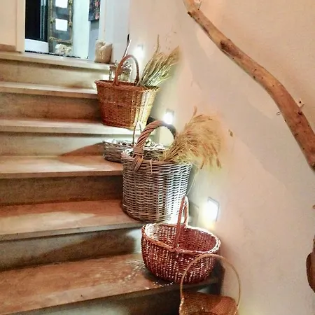 Sternstube De Luxe * Bad Harzburg